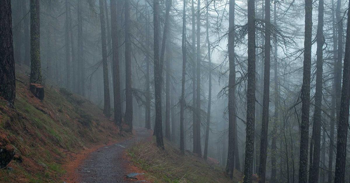 Компас и карта: локальный pipeline тест (local-pipeline-compass-test-pass1)